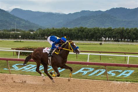santa rosa horse racing|santa rosa horse track.